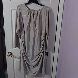 Women's champagne dress
